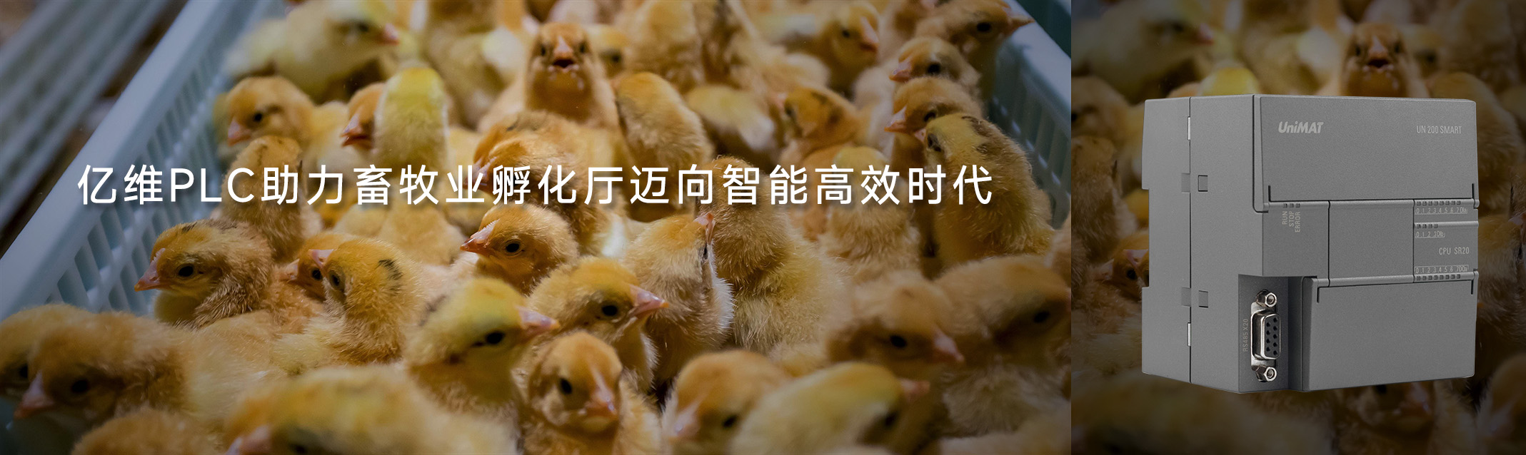 不朽情缘PLC助力畜牧业孵化厅迈向智能高效时代
